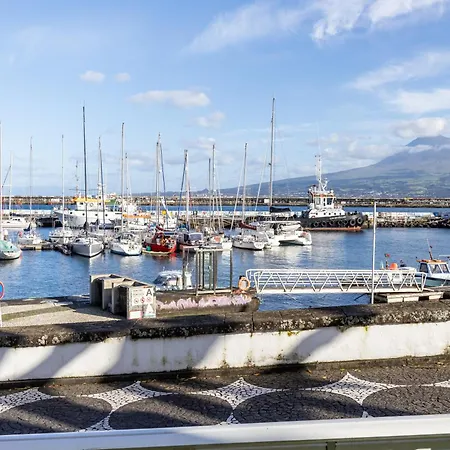 Apartment Ladomar Avenida *